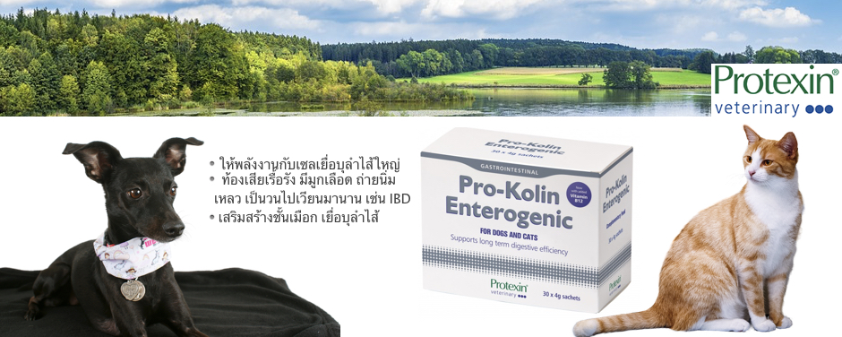 Pro-Kolin Enterogenic